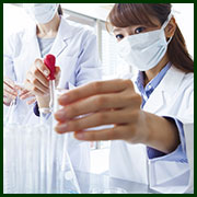 Hands–On Stem Cell Therapies and Biologics for the Clinical Application of Pain Management