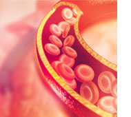 Boston BioLife Online Academy: Regenerative Medicine Overview