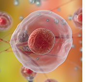 Boston BioLife Online Academy: Regenerative Medicine Overview