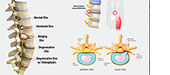 Boston BioLife Webinars