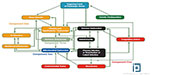 Boston BioLife Webinars